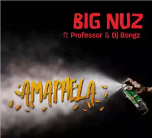 Big Nuz - Amaphela Ft. Professor & Dj Bongz